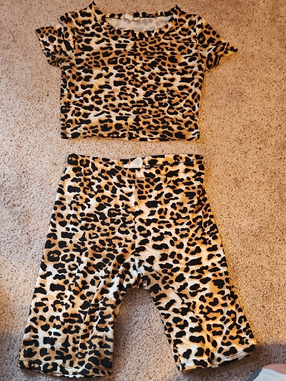 Leopard Print High Waist Women's Shorts - Animal Print